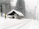 V objatí snehu; 30. 12. 2005 © Radovan Plevko