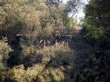 Väčšia čast mosta je ukrytá vo vegetácii inundačnej časti; 14. 10. 2006 © Pio