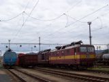 18.09.2008 - cestou, lokomotivy jsou, chybí strojvedoucí © Miloslav Bednář
