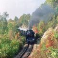25.09.1993 - Rychnov n. Kn. - Solnice: 464.008 se zvláštním vlakem © Václav Vyskočil