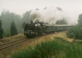 25.09.1994 - Jedlová: 464.008 se zvláštním vlakem © Radek Hortenský