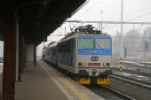 17.2.2013 - Kolín hbf: Přijíždí Michalův vlak od Čáslavi © Mixmouses
