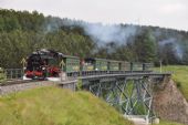 Vlak z Cranzhalu na mostě před Kurort Oberwiesenthalem (22.6.2014) © Pavel Stejskal