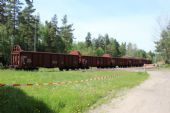 16.05.2015 - Čermná n.O.: vagóny Ealos-t na 4. koleji patří ČD Cargo, ale jsou registrovány v Německu © PhDr. Zbyněk Zlinský