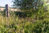 16.6.2012 – V tráve ležiaci odpílený drevený stožiar asi niekto nestihol (alebo nevládal) odniesť © Dávid Šajgalík