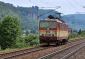 : Lokomotiva ČD Cargo 372.006 směřuje do Bad Schandau pro nákladní vlak; 8.7.2016 © Pavel Stejskal