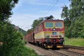 Lokomotiva 372.006 s vlakem prázdných autovozů u Krippenu; 8.7.2016 © Pavel Stejskal