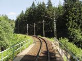 8.8.2016 - Zelené údolí: lesní úsek tramvajové tratě © Dominik Havel