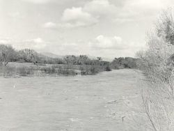 Leto 1965 - katastrofa pre Podunajskú nížinu