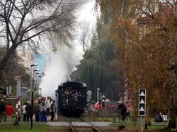 Pára, stará tramvaj, Masaryk a jiné pozoruhodnosti olomoucké