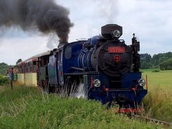 Den dráhy na trati Třemešná ve Slezsku – Osoblaha