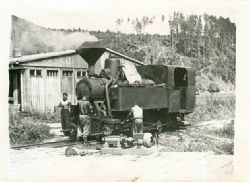 Lesná železnička v Novoveskej hute