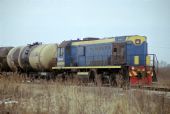 TEM2UM-8782, Skinest, a aj iné vlaky, nielen v Rusku