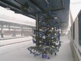 ŽST Čadca; Vianočný stromček je málokde na stanici; 30. 12. 2005 © Radovan Plevko