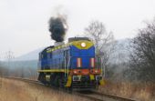 TEM2.066 ECCO Rail, 4.3.2014, Boguszow Gorce Wschod, vrací se jako Lv do Walbrzychu, © Tomáš Ságner