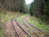 Putovanie sa začalo na treťom kilometri kmeňovej trate od Hronca na odbočke do doliny © Juraj Šnek