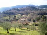 Florencie: typický obrázek toskánského venkova severně od Florencie z autobusu linky 43 u vesničky Serravalle	. 6.3.2012	 © Jan Přikryl