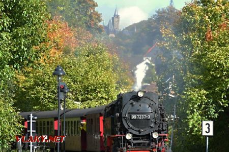 Wernigerode Hochschule, vlak na Brocken vjíždí do zastávky; 3.10.2017 © Pavel Stejskal