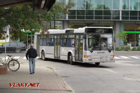 Kecskemét: autobus typu Ikarus 412.30A z roku 2001 přijíždí na lince 9 do terminálu Széchenyi tér, 29.09.2017 © Dominik Havel