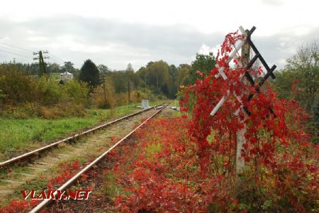 Železničné farby jesene, 7.10.2017 © Kamil Korecz