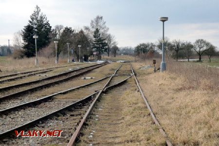 24.02.2018 - ...stav některých kolejí ve Skovicích vzbuzuje zasloužený údiv... © Rostislav Kolmačka