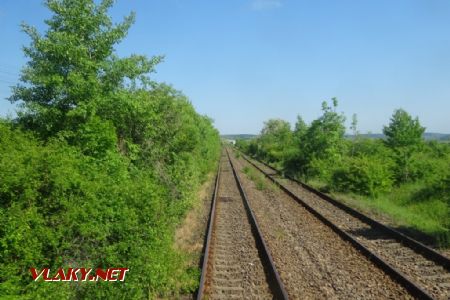 Vegetace na trati do Sibiu je střižená jak živý plot, 8.5.2018 © Jiří Mazal