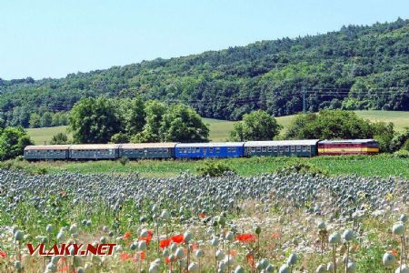 751.131 s mimoriadnym vlakom na Rendez 2016 pri Hlohovci; 18.6.2016 © Marko