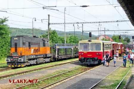 Križovanie s protiidúcim nákladným vlakom do Trnavy; 9.6.2018 © Marko