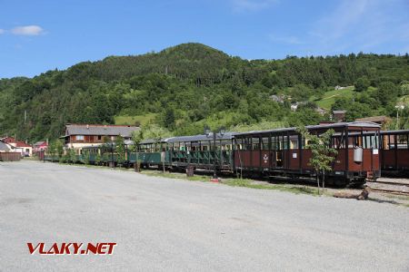 16.06.2016 - Vişeu de Sus: odstavené súpravy parných turistických vlakov © Martin Hajtmanský