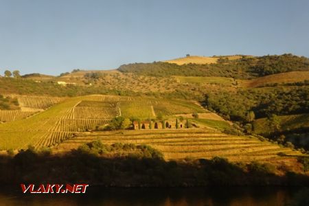 Údolí řeky Douro je plné vinic, 16.10.2018 © Jiří Mazal