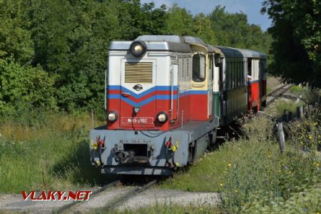 Vlak dětské železnice z Hüvösvölgy se blíží k Széchenyihegy. 21.7.2018 © Pavel Stejskal
