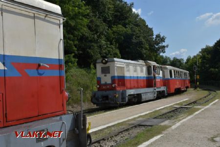 Křižování s vlakem taženým Mk 45-2003 ve stanici Szépjuhászné. 21.7.2018 © Pavel Stejskal
