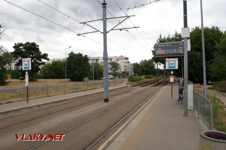 04.07.2019 – Varšava: nástupiště tramvajové zastávky Dywizjonu 303 06 © Dominik Havel