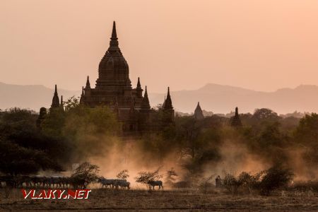 Marec 2020 - Jeden zo správne zorganizovaných záberov, pre ne sa chodí do Baganu © Tomáš Votava