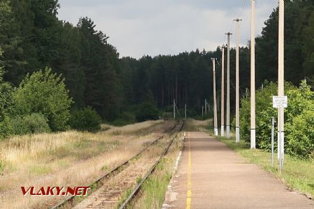 07.07.2019 – Visaginas: pohled z nástupiště železniční stanice na trať ve směru Turmantas © Dominik Havel