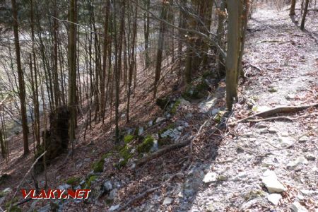 Po vojdení do lesa sa dolina zužuje, trať viedla vysoko nad potokom v strmom svahu, oporné múry sa už rozpadajú, 28.3.2020 © Ľuboš Chmatil