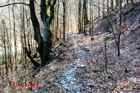V lese viedla trať v strmom svahu na pravej strane vysoko nad potokom, 28.3.2020 © Ľuboš Chmatil