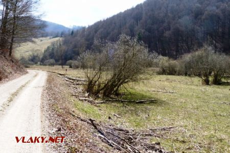 Slávikova dolina, slabo viditeľné teleso viedlo stredom lúky napravo od cesty, 28.3.2020 © Ľuboš Chmatil
