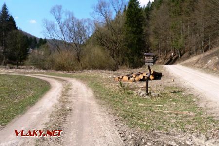 Slávikova dolina, trať viedla rovno (naľavo od driev) smerom na Zliechov, 28.3.2020 © Ľuboš Chmatil