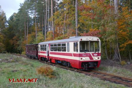Úzký vlak Pogorzelica – Gryfice kdesi u Rybokart, 23. 10. 2021 © Libor Peltan