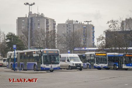 Czyżyny Dworzec: různé typy autobusů včetně maršrutky, 1. 2. 2022 © Ctirad Ženka