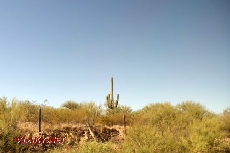 Vegetace v Arizoně mezi Tucsconem a Bensonem, 16.10.2023 © Jiří Mazal
