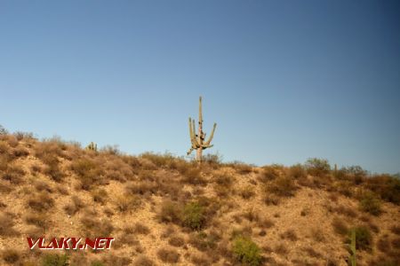 Vegetace v Arizoně mezi Tucsconem a Bensonem, 16.10.2023 © Jiří Mazal
