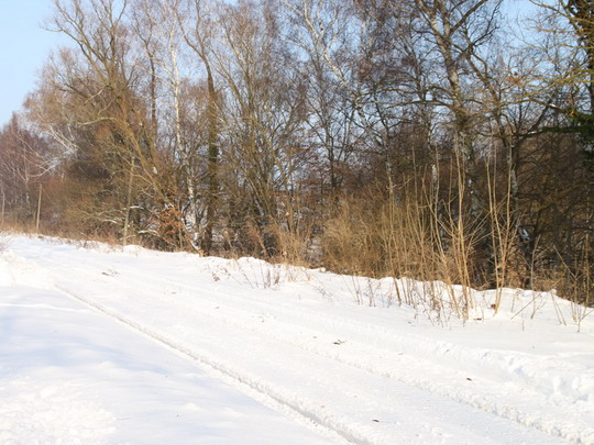 Zasněžená neprovozovaná trať v Gronowě © Jan Guzik