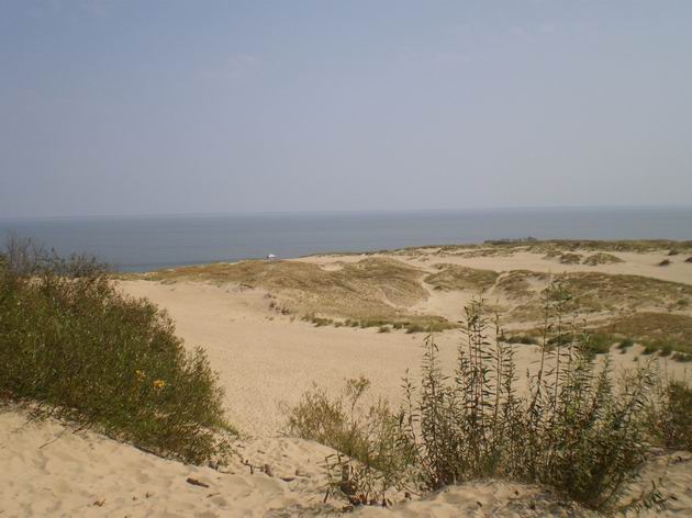 Celkový pohled na písečnou dunu u Nidy. 15.8.2010 © Jan Přikryl