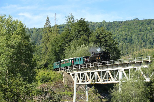 Historický vlak s parným ozubnicovým rušňom smeruje zo sedla Zbojská do Tisovca, 1.8.2015, Igor Molnár