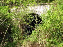 Tunel v obkľúčení zelene