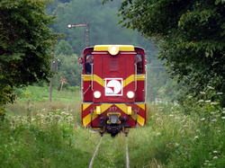 Miestna úzkorozchodná železnica Przeworsk – Dynów