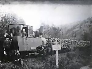 Lesná železnica Topoľčianky