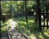 RE: Lesná železnica Smolenice - Dobrá Voda